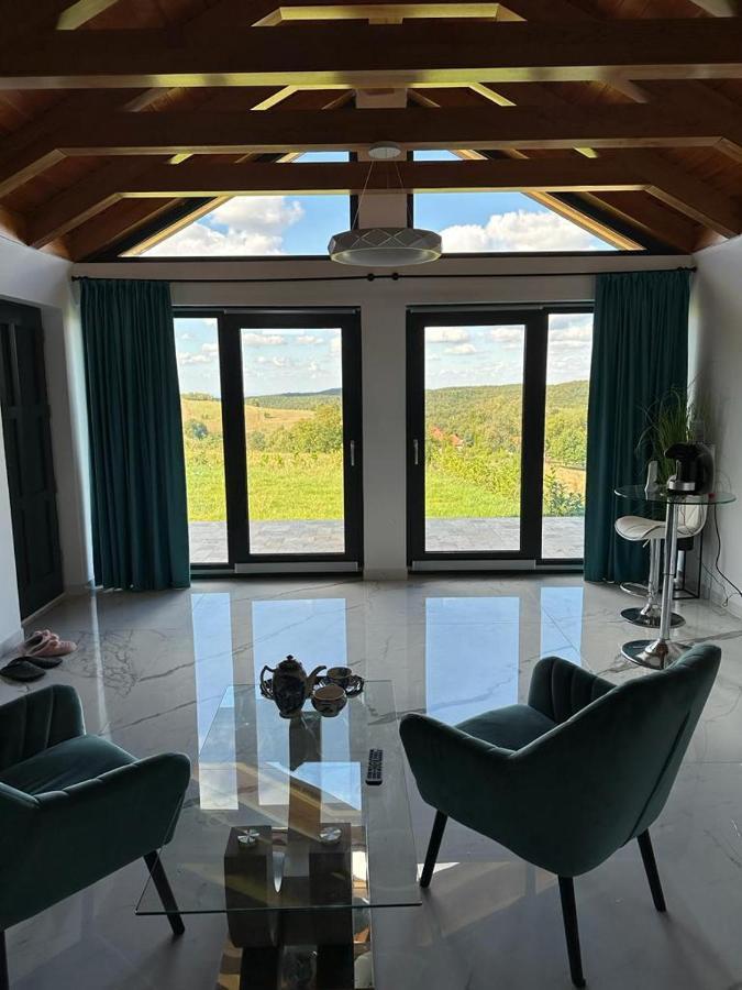 Casa Moderna In Sinteu - Intersectia Intre Modern Si Linistea Naturii Huta Voivozi Dış mekan fotoğraf